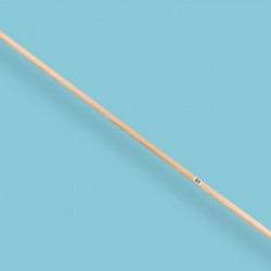 Harksteel / Bezemsteel 170 x 2,8 cm. PP met lange punt (Ikape)