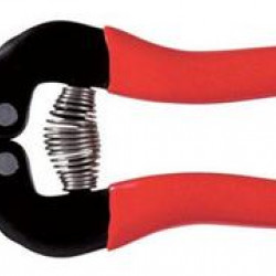 ARS dunschaar rood rechte bek 300SS