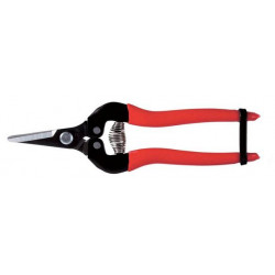 ARS dunschaar rood rechte bek 300SS