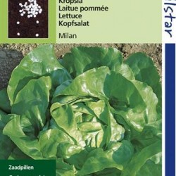 Kropsla Milan Pillenzaad