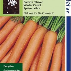 Winterwortelen, Flakkese Pillenzaad