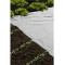 Nature afdekvlies 2 x 10 meter (vliesdoek) 6030206