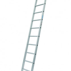 Solide enkele ladder 10 sporten zwaar rechte bomen gecoat