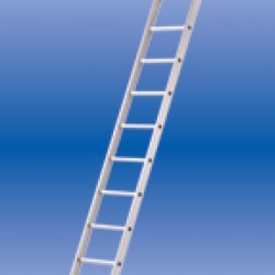 Solide enkele ladder 10 sporten zwaar rechte bomen ongecoat