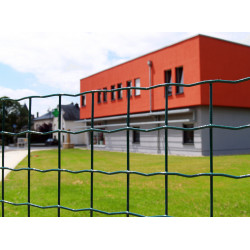 Gaas (Forte) groen 50,0 x 50,0 x 2000 x 3,0 mm (per meter) Gaas (Forte) groen 50,0 x 50,0 x 2000 x 3,0 mm (per meter)