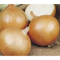 Plantuien Sturon (500 gr)