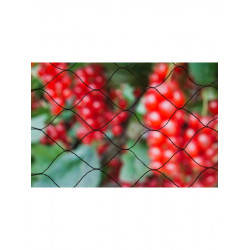 Nature tuinnet primo zwart 5 x 3 meter 6030401 Nature tuinnet primo zwart 5 x 3 meter 6030401