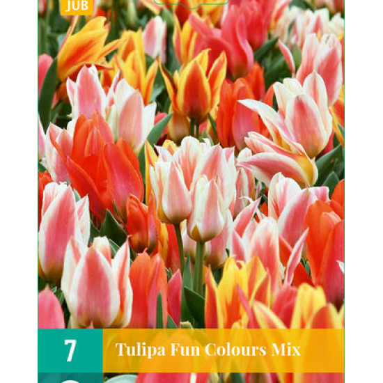 Tulp Fun Colours (7 st.) Tulp Fun Colours (7 st.)