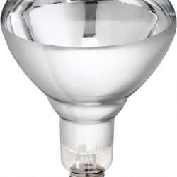 Philips biggenlamp 150W wit hardglas