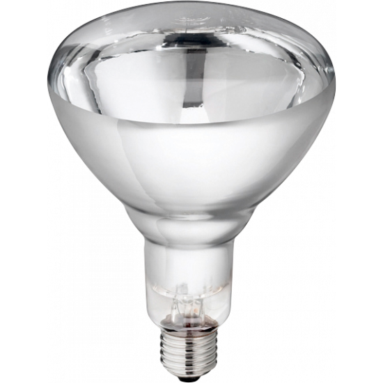 Philips biggenlamp 150W wit hardglas