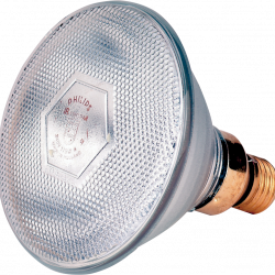Philips biggenlamp IR100C Parabool wit