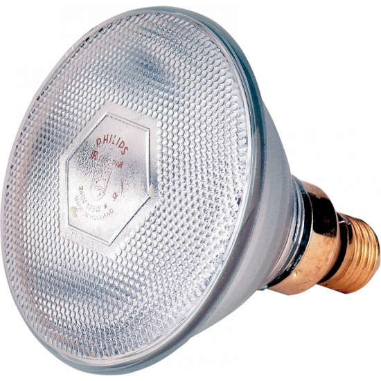 Philips biggenlamp IR100C Parabool wit