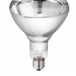 Philips biggenlamp IR250C wit