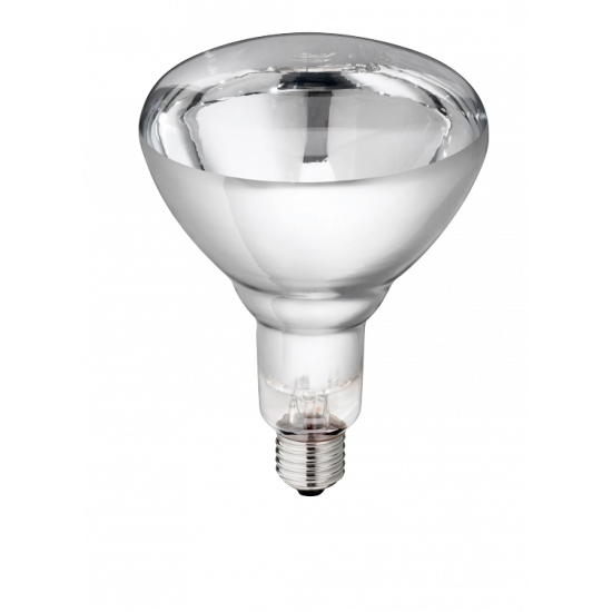 Philips biggenlamp IR250C wit