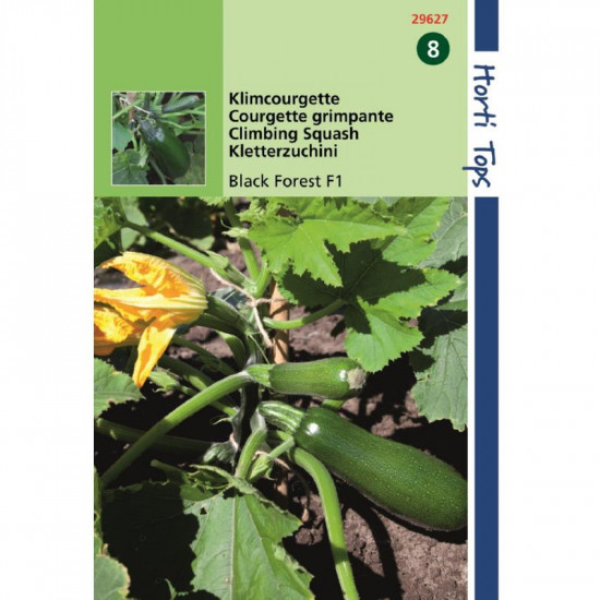 (29627) Courgette Black Forest F1 (klimcourgette) (29627) Courgette Black Forest F1 (klimcourgette)