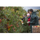 Dolfing regenjack P1 (groen) S Dolfing regenjack P1 (groen) S
