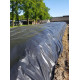 Landbouwfolie Rani zwart 50 x 14 x 020