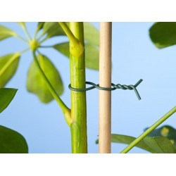 Nature binddraad geplastificeerd 0,6 mm (50 meter) 6040459