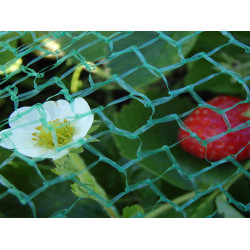 Plena tuinnet groen 3 x 10 mtr. Plena tuinnet groen 3 x 10 mtr.