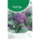 (22370) Broccoli Summer Purple