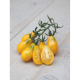 (28300) Tomaten Yellow Pearshaped