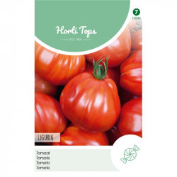 (28460) Tomaten Liguria (zoete tomaat)