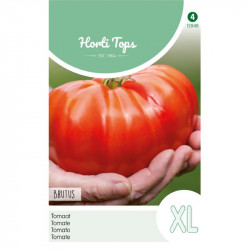 (28480) Tomaten Brutus (reuzentomaat) (28480) Tomaten Brutus (reuzentomaat)