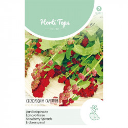 (28355) Aardbeispinazie (28355) Aardbeispinazie