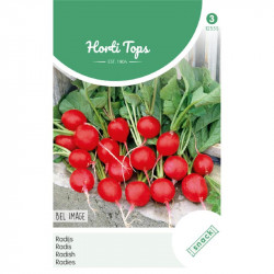 (29290) Radijs Bel Image / Rebel (29290) Radijs Bel Image / Rebel