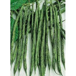 (32300) Stamslabonen Triomph de Farcy (Frans boontje) (32300) Stamslabonen Triomph de Farcy (Frans boontje)