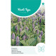 (40090) Agastache / Dropplant