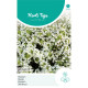 (40250) Alyssum / Sneeuwkleed