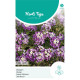 (40290) Alyssum / Royal Carpet