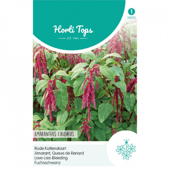 (40350) Amaranthus / Kattestaart