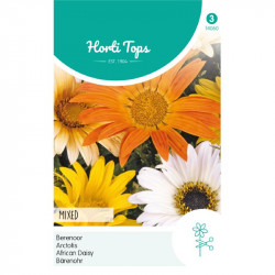 (40600) Arctotis / Berenoor, prachtig kleurenmengsel