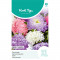 (41070) Aster / Pioenbloemige Reuzen