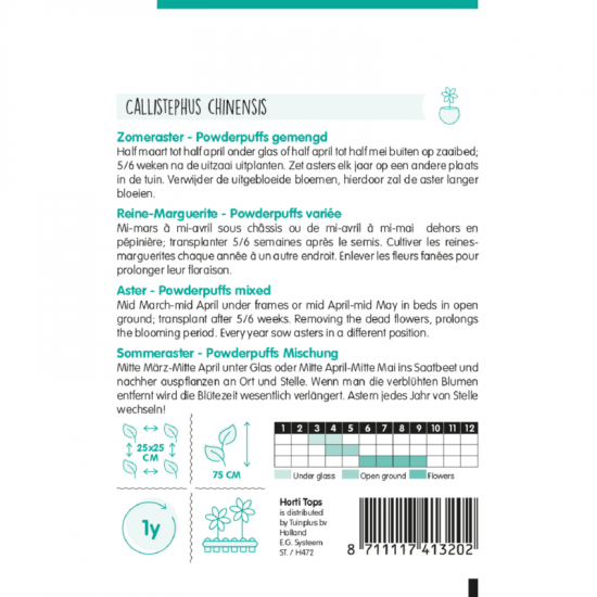 (41320) Aster / Boeket (41320) Aster / Boeket