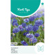 (41670) Centaurea / Korenbloem Blue Ball