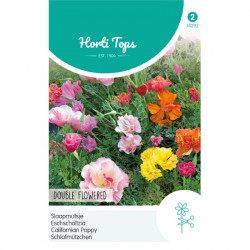 (42920) Eschsoltzia / Slaapmutsje dubbele (42920) Eschsoltzia / Slaapmutsje dubbele