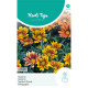 (43100) Gazania / Middaggoud