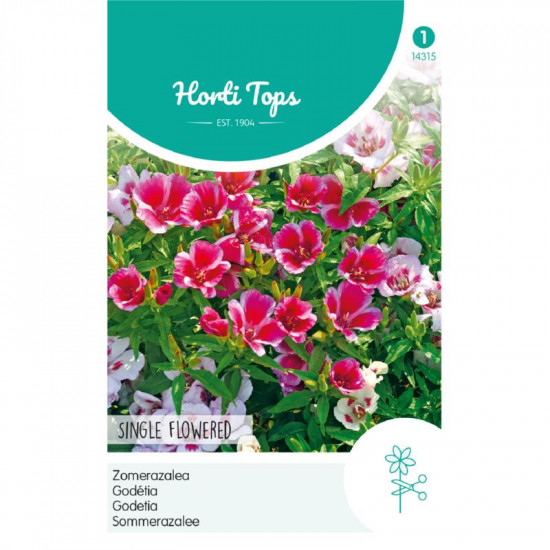 (43150) Godetia / Zomerazalea enkelbloemig