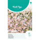 (43320) Gypsophila / Gipskruid rose