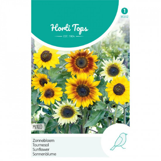(43520) Helianthus / Zonnebloem Debilis (43520) Helianthus / Zonnebloem Debilis