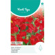 (44200) Lathyrus Odor / Royal Family vroeg rood