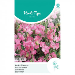 (44210) Lathyrus Odor / Reuk- of siererwt Royal Family rose