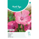 (44300) Lavatera / Bekermalva rose-rood