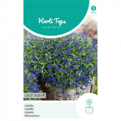 (44550) Lobelia / Kaiser Wilhelm (44550) Lobelia / Kaiser Wilhelm