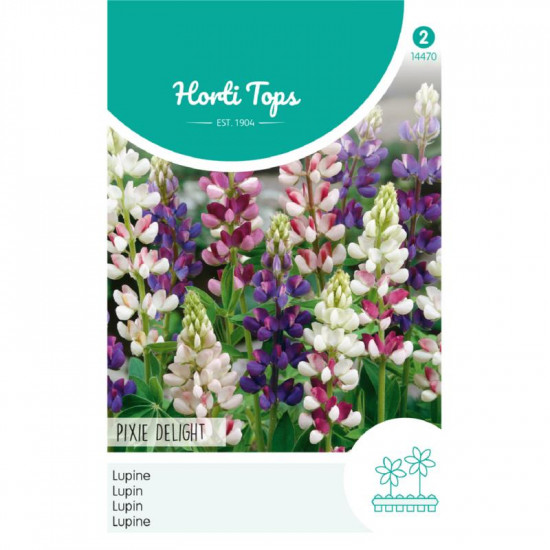 (44700) Lupinus / Pixie delight gemengd lage