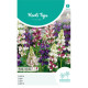 (44700) Lupinus / Pixie delight gemengd lage