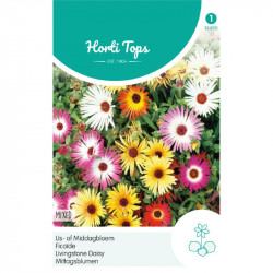 (44900) Mesembryanthemum / Middagbloem ijskruid (44900) Mesembryanthemum / Middagbloem ijskruid